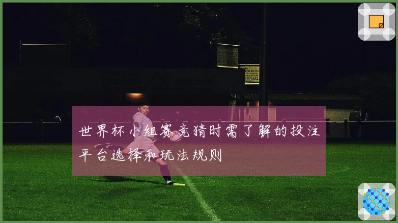 世界杯小组赛竞猜时需了解的投注平台选择和玩法规则
