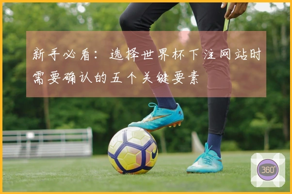 新手必看：选择世界杯下注网站时需要确认的五个关键要素