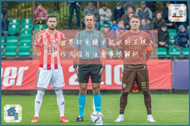 怎么买世界杯竞猜才能识别正规入口？操作流程与注意事项解析
