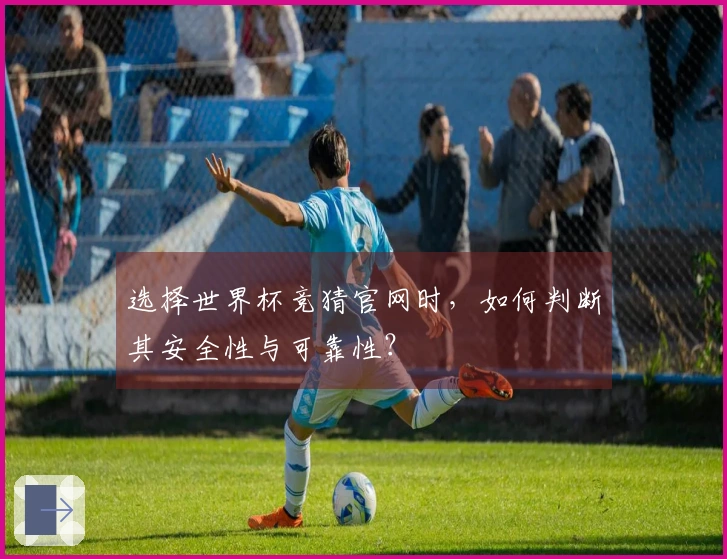 选择世界杯竞猜官网时，如何判断其安全性与可靠性？