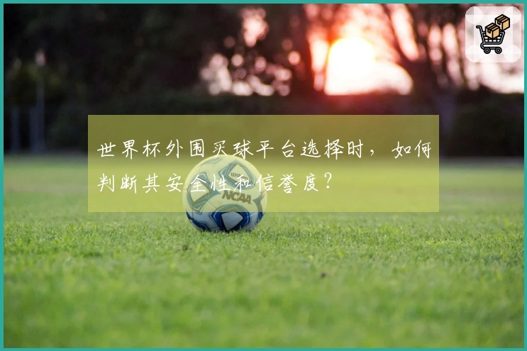 世界杯外围买球平台选择时，如何判断其安全性和信誉度？
