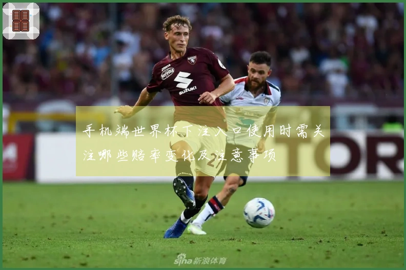 手机端世界杯下注入口使用时需关注哪些赔率变化及注意事项