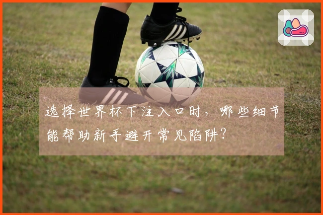 选择世界杯下注入口时，哪些细节能帮助新手避开常见陷阱？