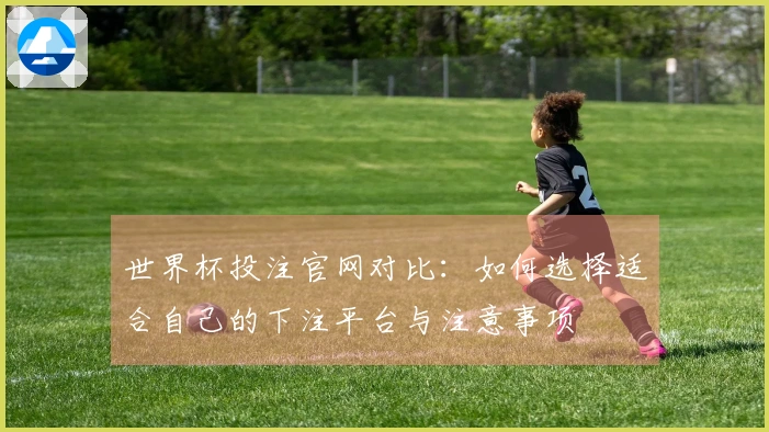世界杯投注官网对比：如何选择适合自己的下注平台与注意事项