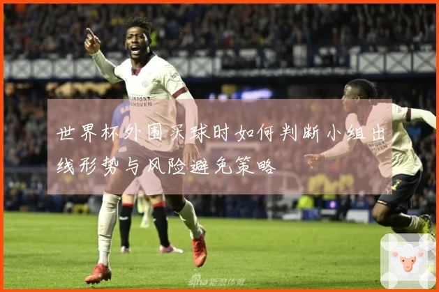 世界杯外围买球时如何判断小组出线形势与风险避免策略