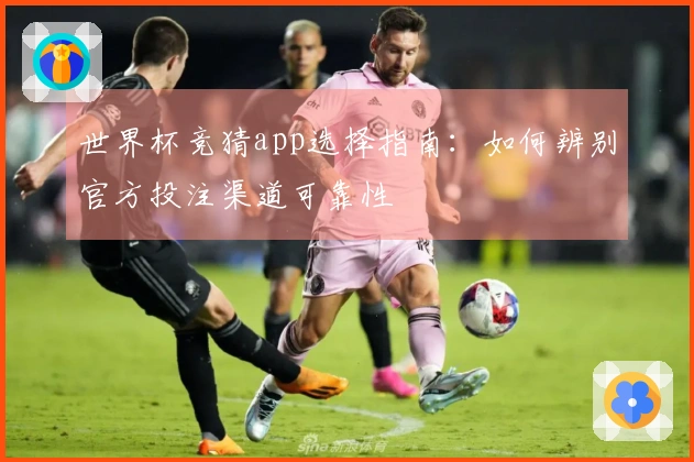 世界杯竞猜app选择指南：如何辨别官方投注渠道可靠性